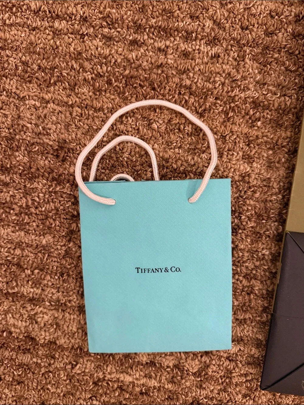 Authentic Assorted designer Shopping Bags, Chanel magazine